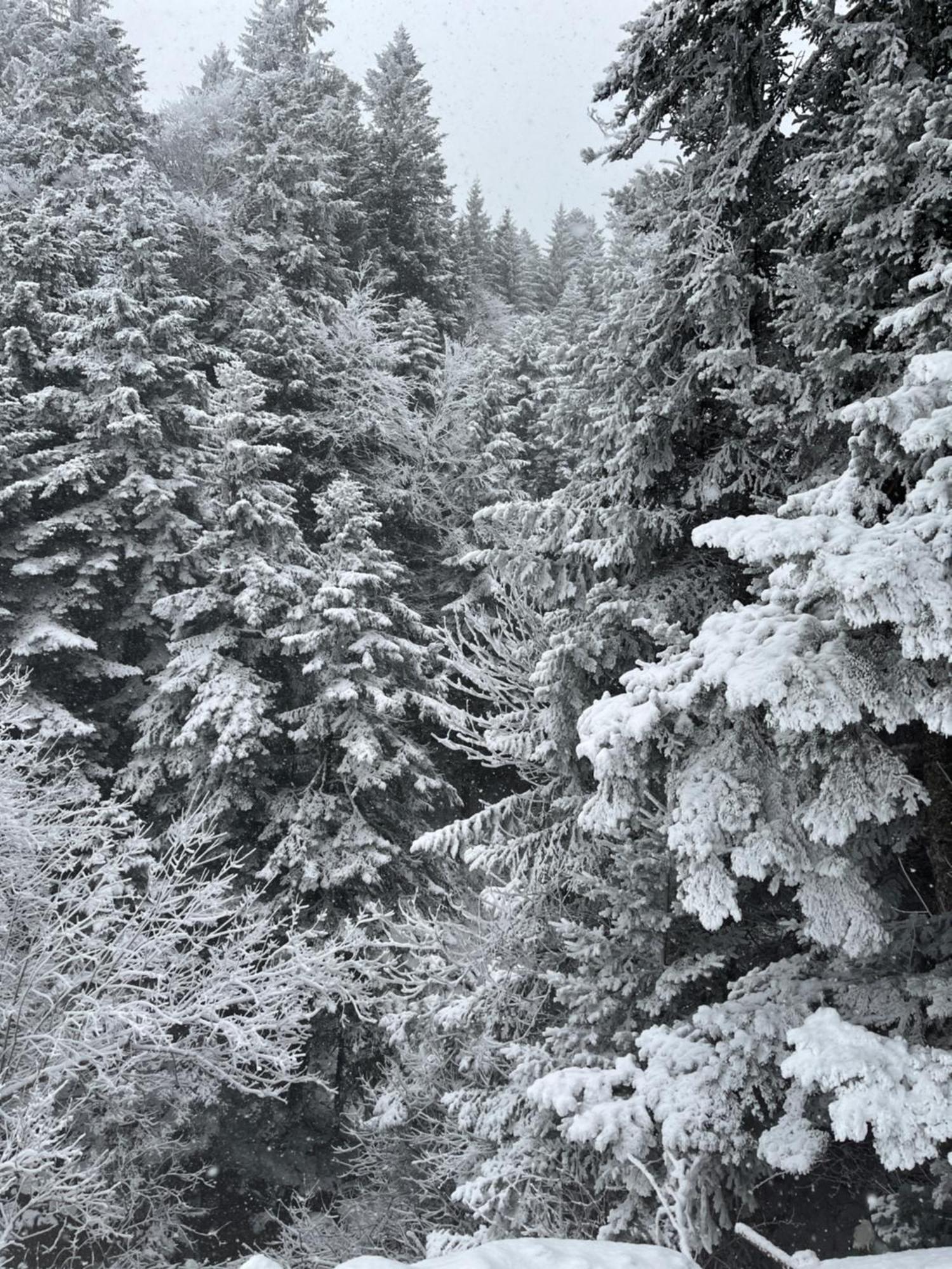 Gite A La Ferme Au Coeur De L'Auvergne Saint-Hippolyte  ภายนอก รูปภาพ